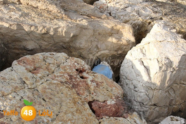 jotha northyaffa dolfan (7).JPG